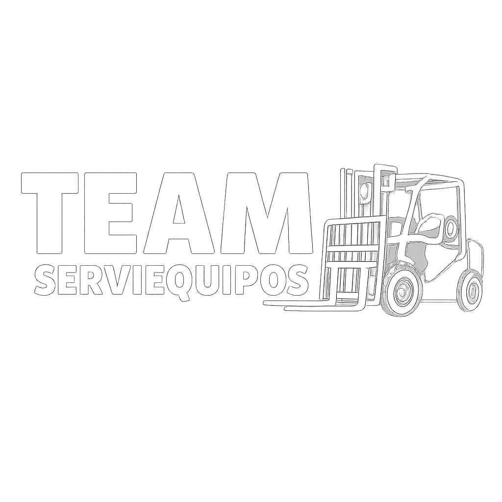 team logo invisible